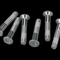 Rohloff Achsplattenschrauben Torx (6 Stück)